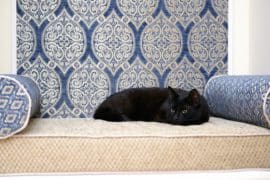 coussin-chat-polochon