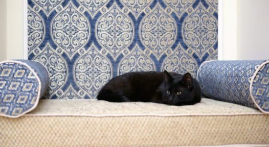 coussin-chat-polochon